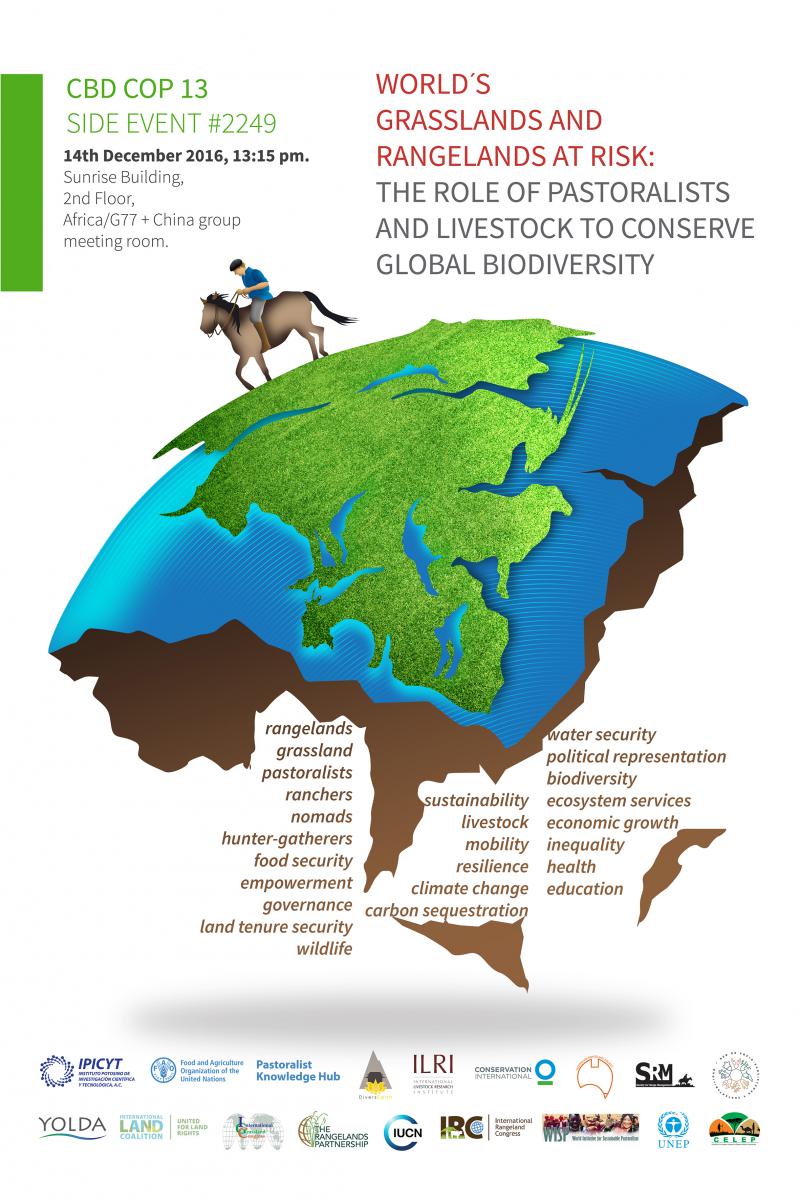 International Year of Rangelands and Pastoralists Initiative (IYRP